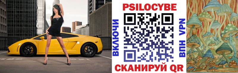 Псилоцибиновые грибы Psilocybe  Купить закладки  Аша 